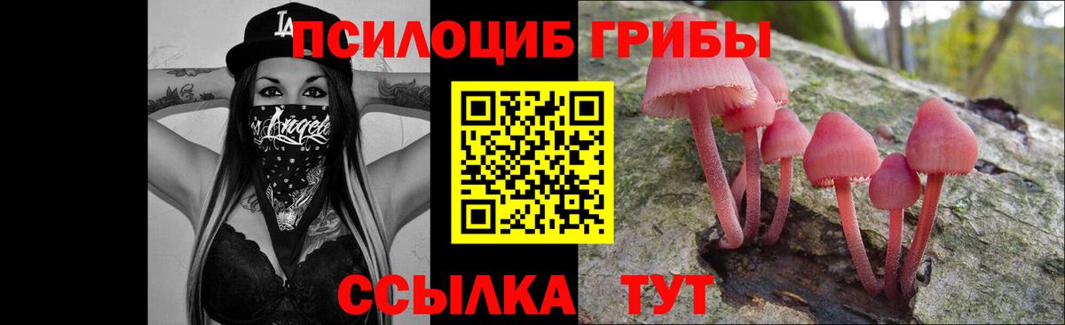 Псилоцибиновые грибы ЛСД Мурино